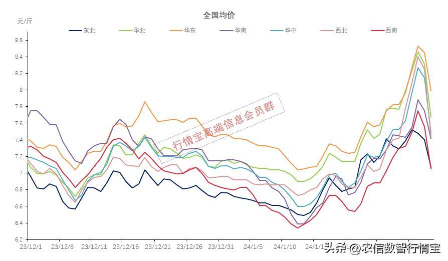 云南猪价最新行情概览与分析