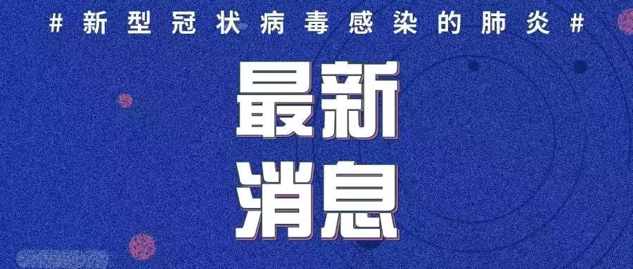 全球心冠肺炎最新动态，疫情公布与应对策略更新