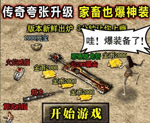 最新热门游戏探索，乐趣无穷的冒险之旅