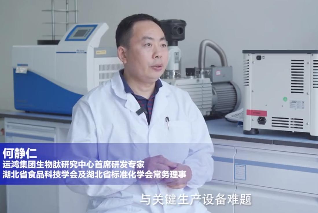 运鸿集团最新状况及其深度分析