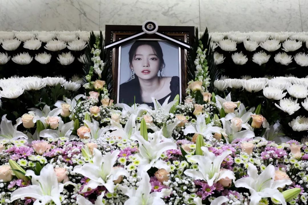 知名女星家中身亡事件，深度探讨与反思